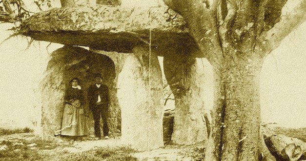 Le dolmen de la fée à Draguignan, 4 000 ans d’histoire
