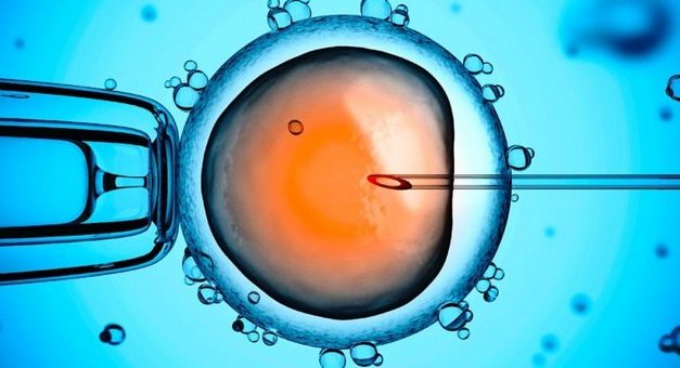 Objectif : retrait du projet de loi bioéthique