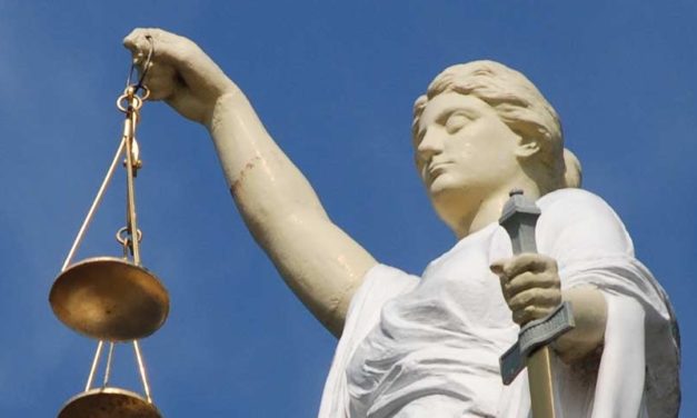 Les sénateurs doivent amender le projet de loi sur la bioéthique