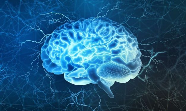 Nice-Matin nous interdit de réfléchir (suite)