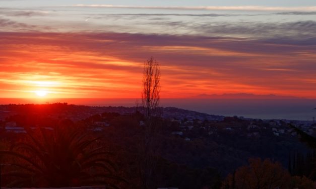 Préparer la sortie de grippe