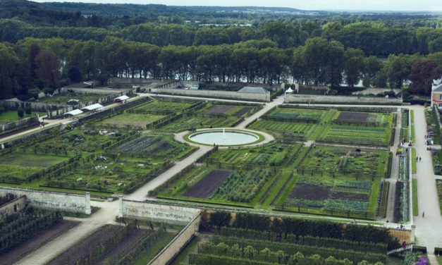 Trouvez un bout de jardin et faites votre potager !