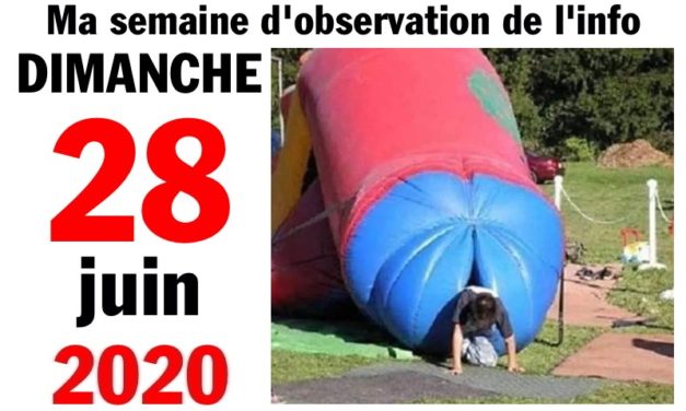 Ma bonne semaine de mauvaise foi (28 juin 2020)
