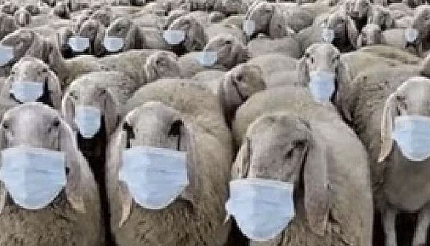 Puisons nos ressources dans notre culture !