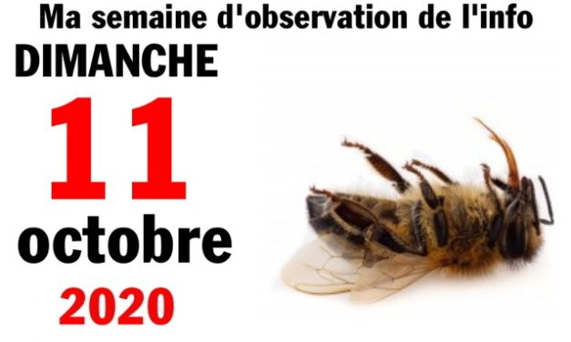 Ma semaine d’observation de l’info (11 octobre 2020)