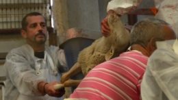 Aid el Kebir