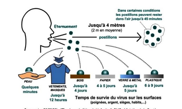 Covid : une méthode inédite pour ne plus avoir à porter de masque