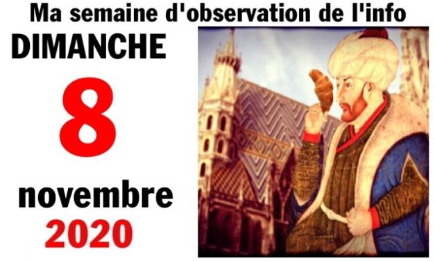 Ma semaine d’observation de l’info (8 novembre 2020)