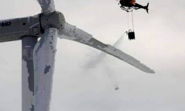 L’écologie jusqu’à l’absurde