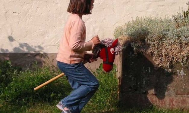 Régionales : les grandes manœuvres, mais quid des projets ?