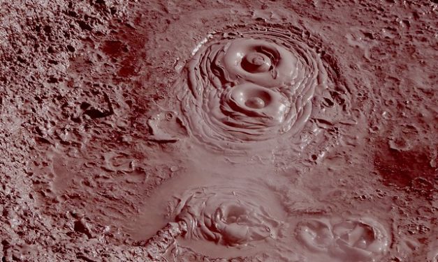 Origine du Covid-19 : la vérité remonte à la surface