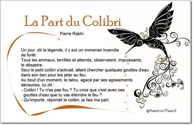 Pierre Rabhi - Petit colibri