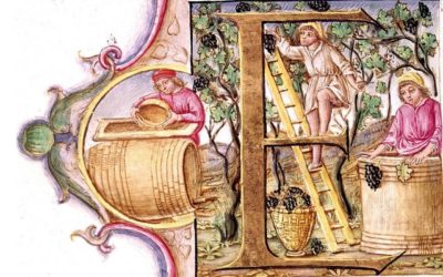 Les vignerons du Ciel n’ont pas dit leur dernier mot