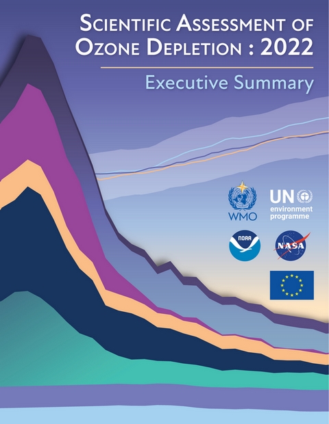 ONU couche ozone