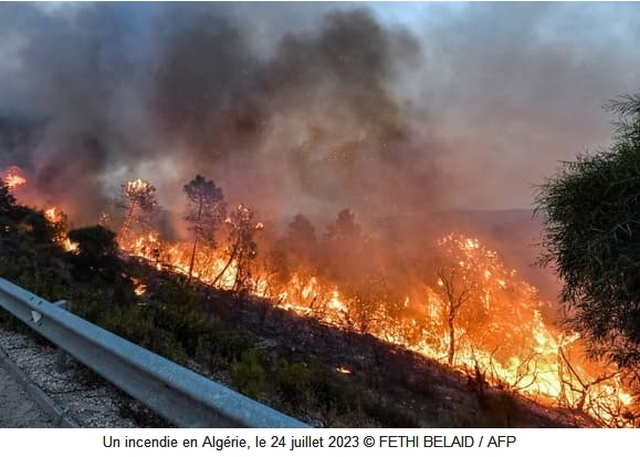Incendie Algérie - Juillet 2023 Incendie Algérie - Juillet 2023