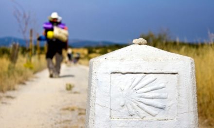 Compostelle, un pèlerinage pour notre temps<br>Retour d’expérience