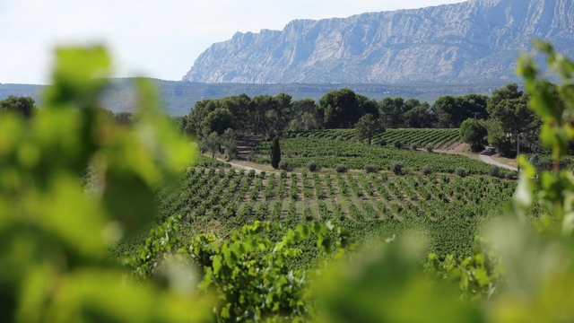 Sainte Victoire