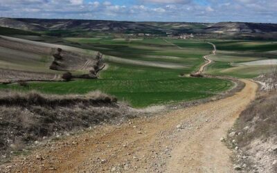 Chemin de Compostelle : un retour actuel d’expérience spirituelle