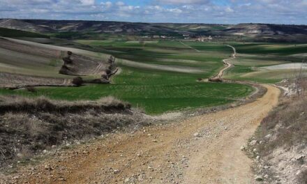 Chemin de Compostelle : un retour actuel d’expérience spirituelle