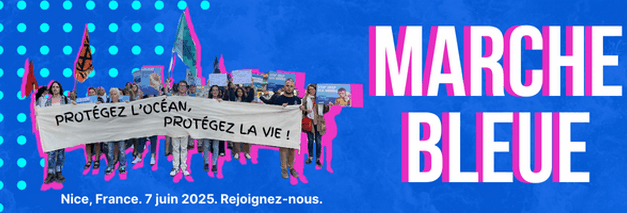 7 juin 2025 :<br>Marche Bleue à la Conférence des Nations Unies sur les Océans (<span class="caps">UNOC</span>)
