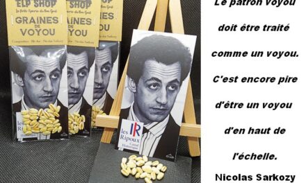 Affaire Sarkozy : la France n’a que les représentants qu’elle mérite