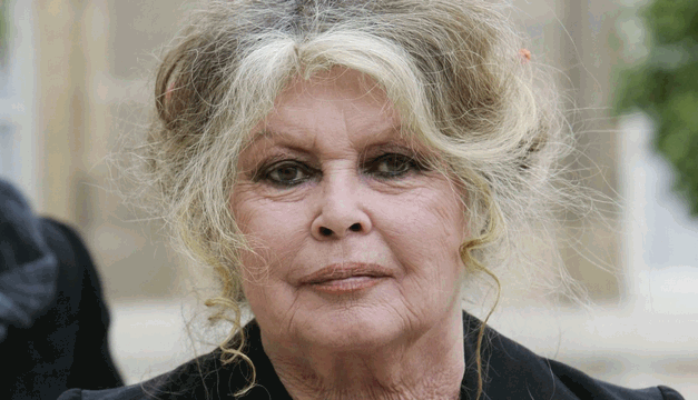 Témoignage inédit sur Brigitte Bardot