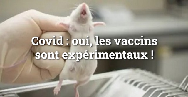 Covid - Vaccins expérimentaux - Mars 2021