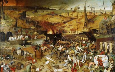 Abattage du bétail&nbsp;: c’est bien une opération planifiée