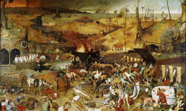 Abattage du bétail&nbsp;: c’est bien une opération planifiée