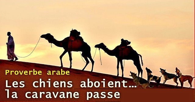Chiens aboient - Caravane passe