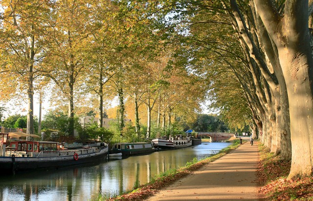 Canal Midi - Carcassonne