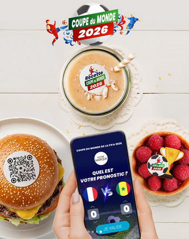 Coupe Monde 2026 (3)