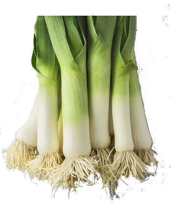 Poireaux