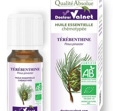 Remèdes écartés&nbsp;: la térébenthine