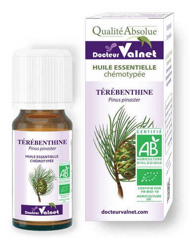 Remèdes écartés&nbsp;: la térébenthine